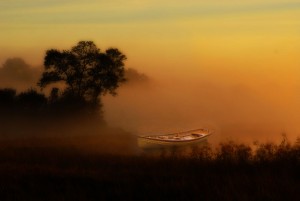 Morning Canoe