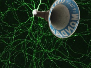 AmplifyNeuralNetwork
